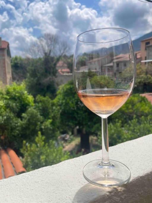 Appartement Neuf, Grande Terrasse Plein Sud Laroque-des-Alberes Luaran gambar